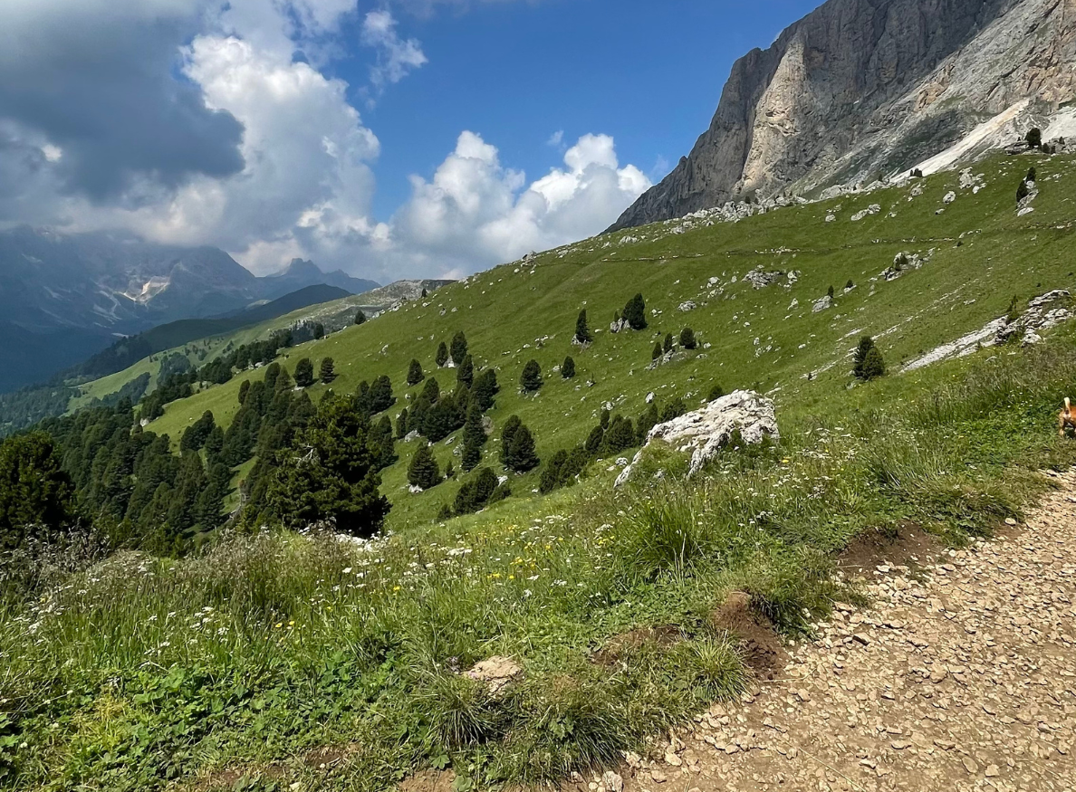 vacanze-val-di-fassa.png